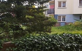 Apartament, 2 Pokoje, Stacja Metra Kabaty, Ursynow