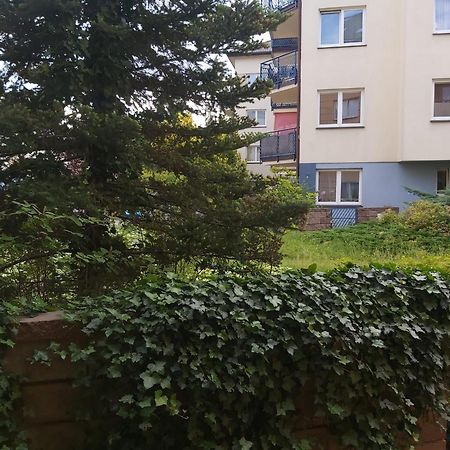 Apartament, 2 Pokoje, Stacja Metra Kabaty, Ursynow Warszawa Zewnętrze zdjęcie